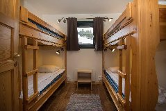 tekst