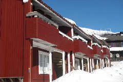 tekst