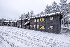 tekst