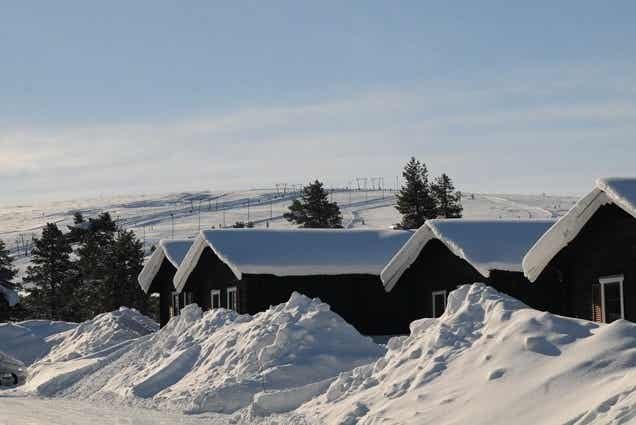 tekst1