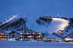 tekst