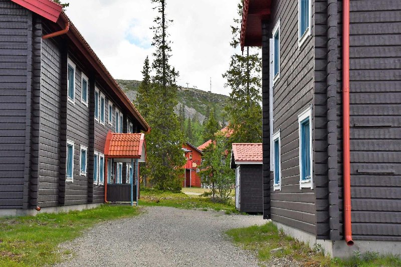 tekst