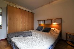 tekst