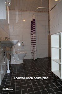 tekst