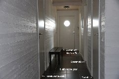 tekst