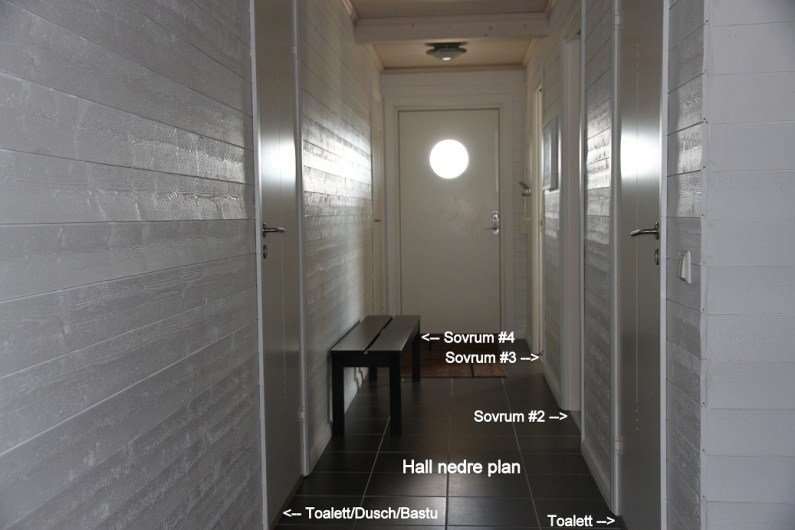 tekst