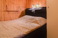 tekst