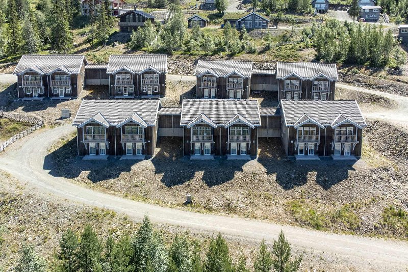 tekst
