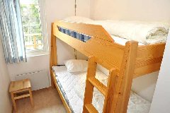 tekst