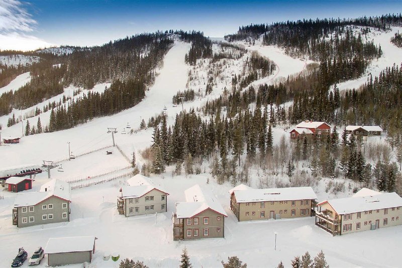 tekst