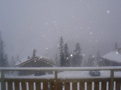 tekst