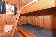tekst