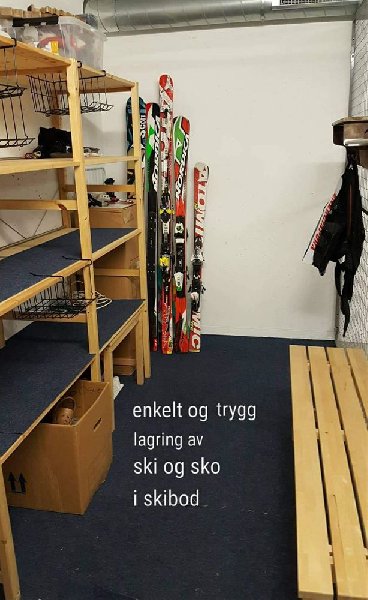 tekst