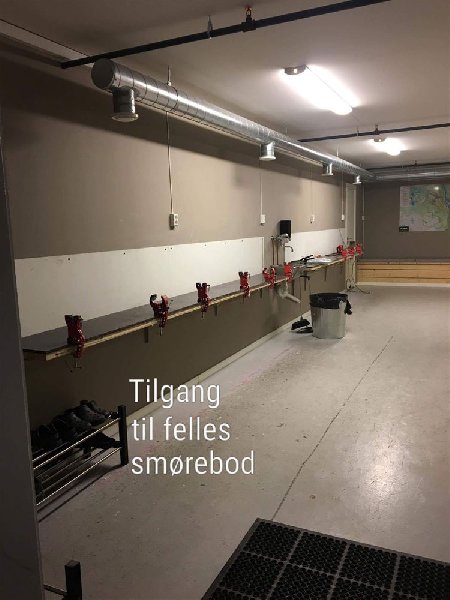 tekst