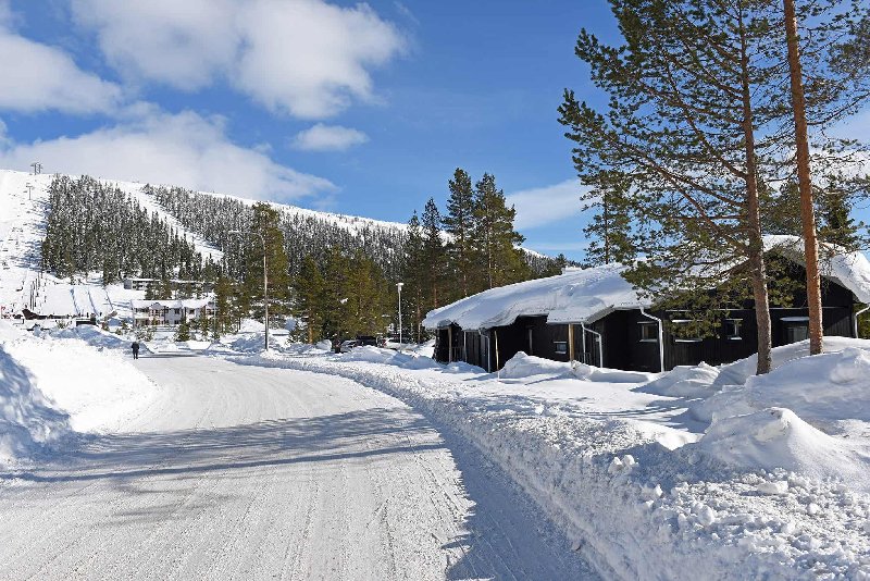 tekst
