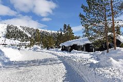 tekst