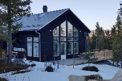 tekst