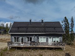 tekst