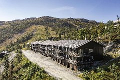 tekst