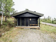 tekst