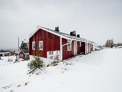 tekst