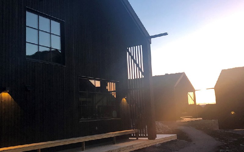 tekst