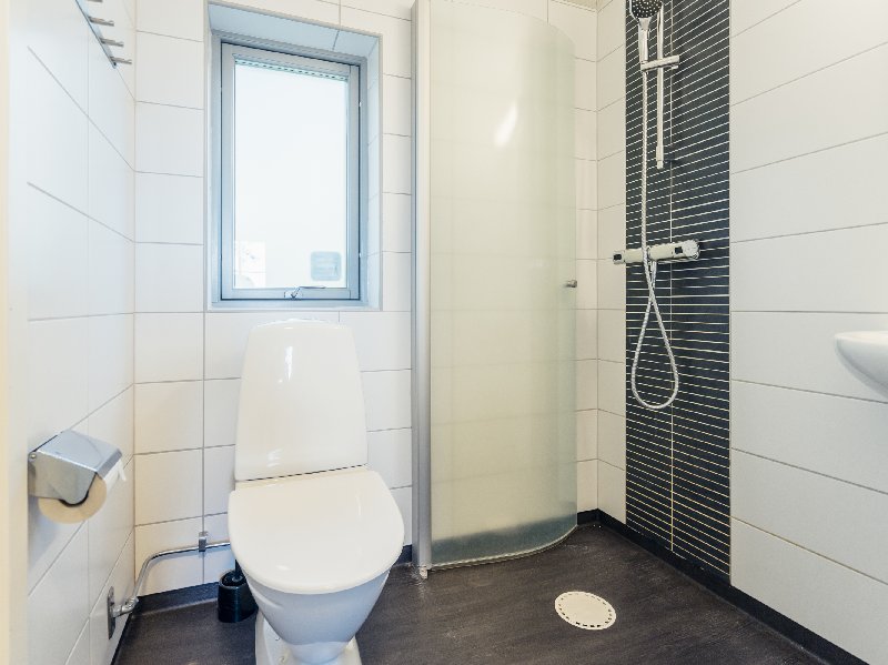 tekst