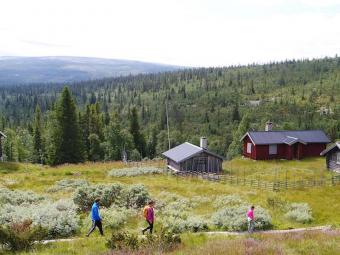 Vemdalen - Klövsjö/Storhogna