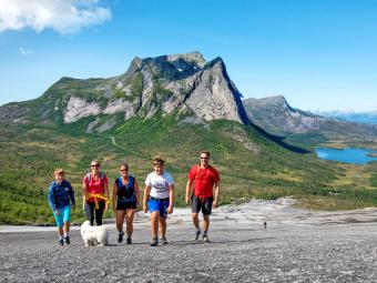 Narvikfjellet