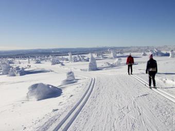 Sjusjøen