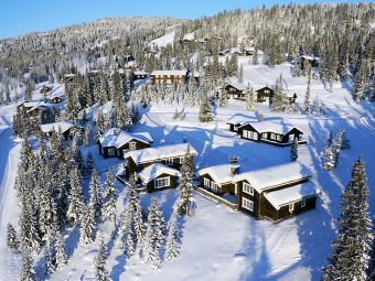 *Kvitfjell