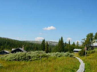 Vemdalen - Björnrike 