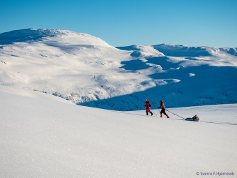 Myrkdalen